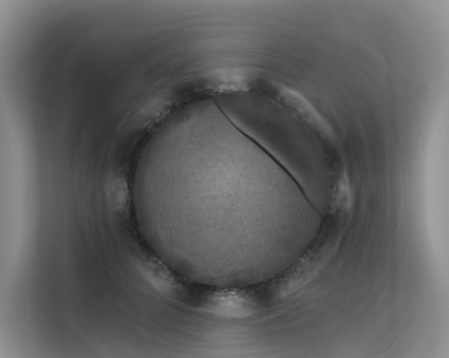 X0000112200704200908071434