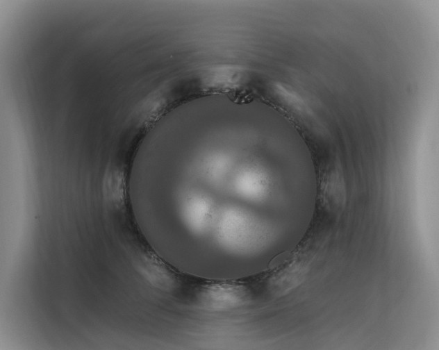 X0000112200708200908071434