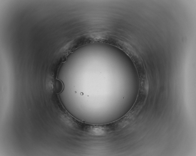 X0000112200710200908071434