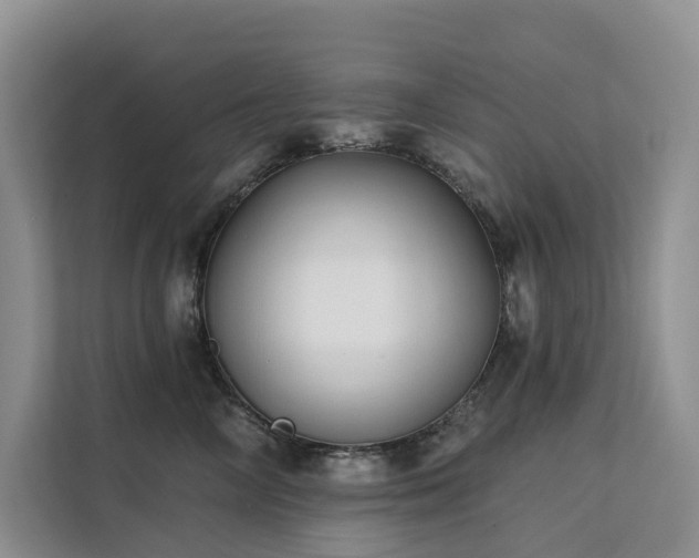 X0000112200714200908071434