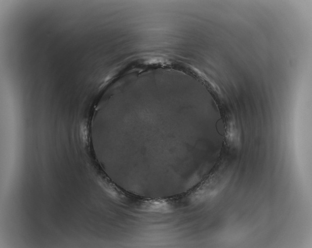 X0000112200715200908071434