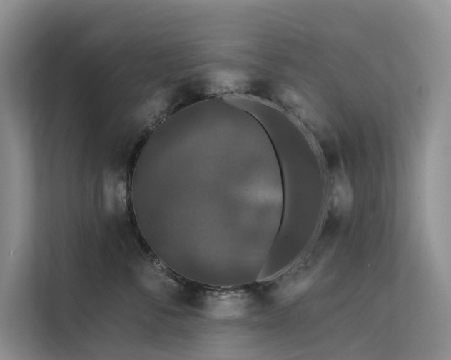 X0000112200716200908071434