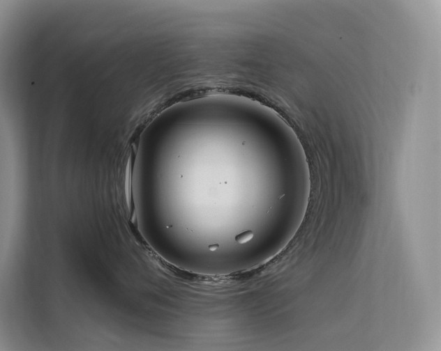 X0000112200720200908071434