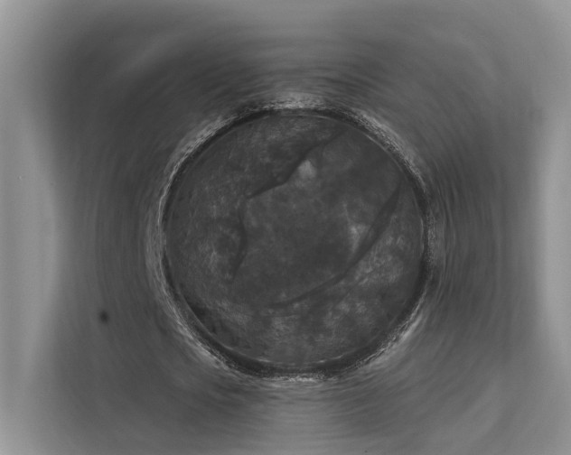 X0000112200721200908071433