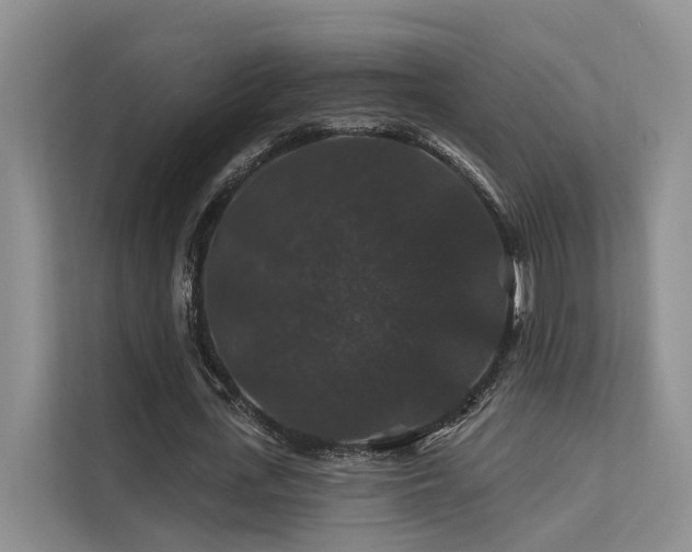 X0000112200723200908071433