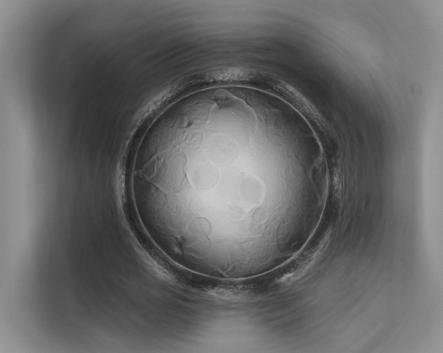 X0000112200725200908071433