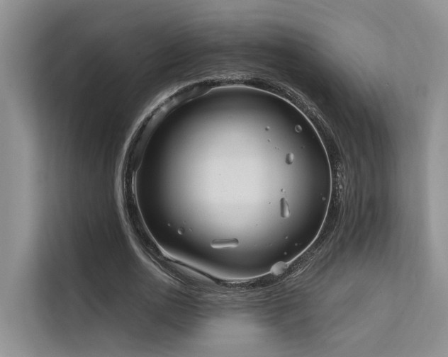 X0000112200726200908071433