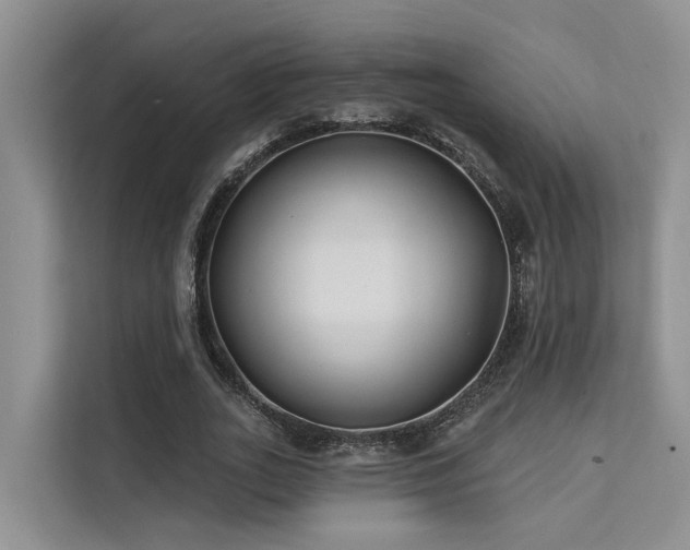 X0000112200727200908071433