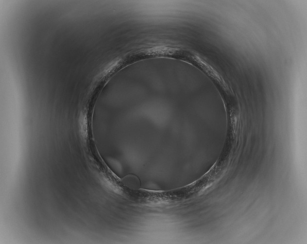 X0000112200729200908071433