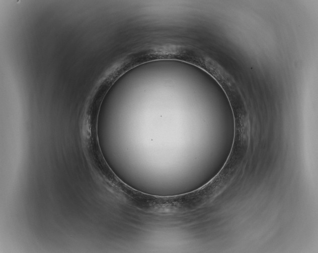 X0000112200731200908071433