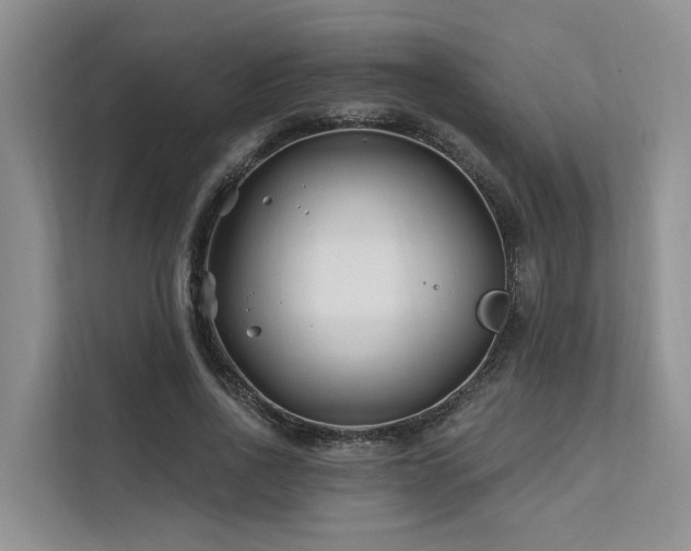X0000112200734200908071433