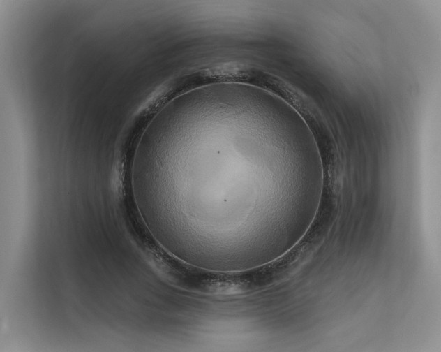 X0000112200735200908071433