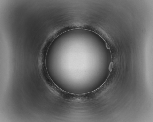 X0000112200736200908071433