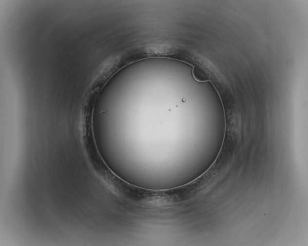 X0000112200738200908071433
