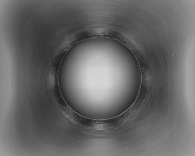 X0000112200746200908071433