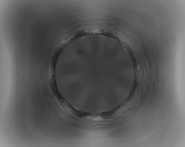 X0000112200747200908071433