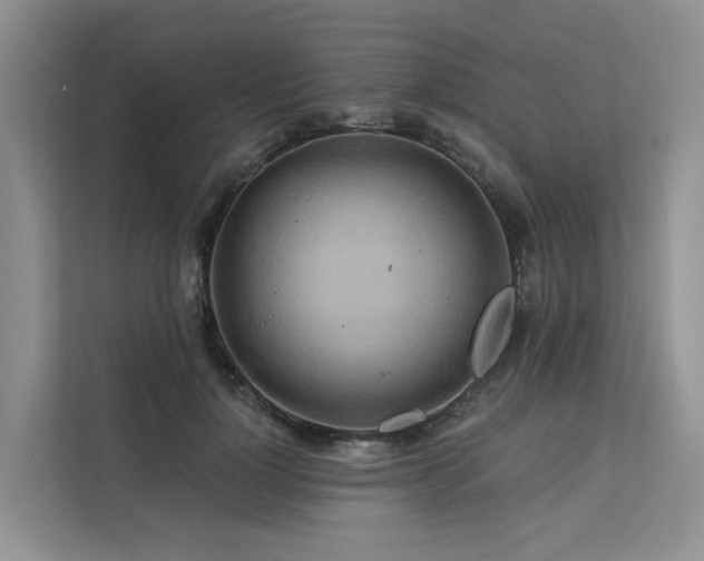 X0000112200748200908071434
