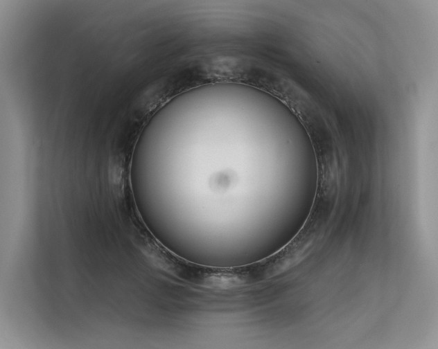 X0000112200749200908071434