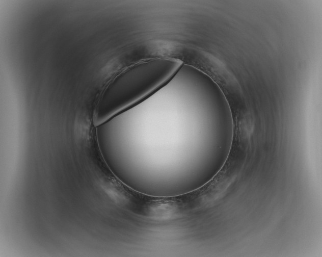 X0000112200750200908071434