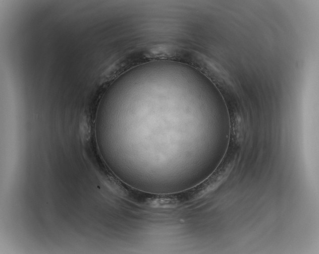 X0000112200751200908071434