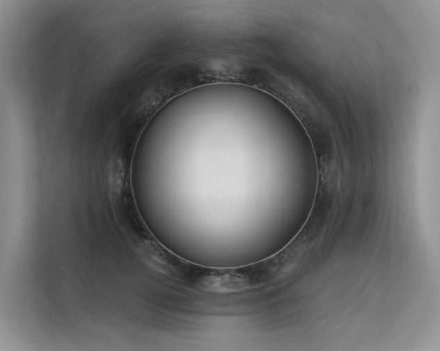 X0000112200752200908071434