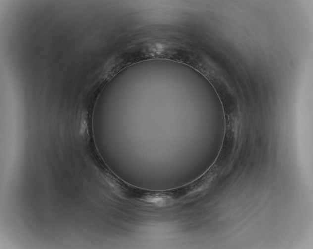 X0000112200754200908071434