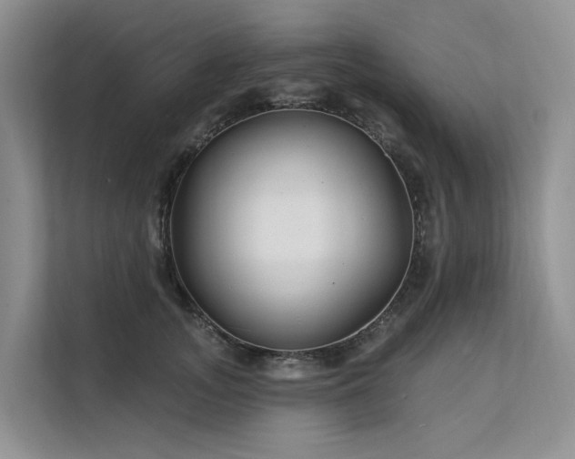 X0000112200755200908071434