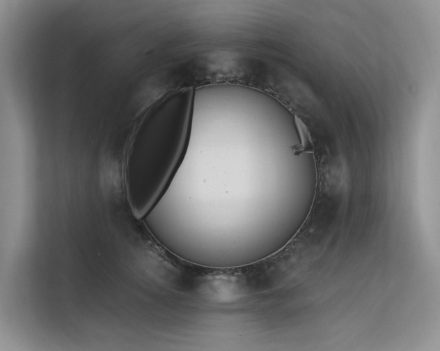 X0000112200756200908071434