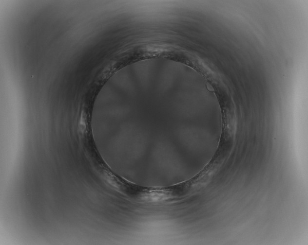 X0000112200758200908071434