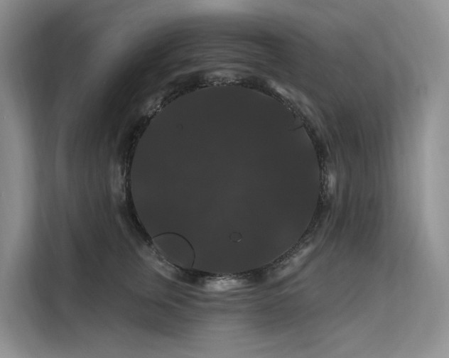 X0000112200759200908071434