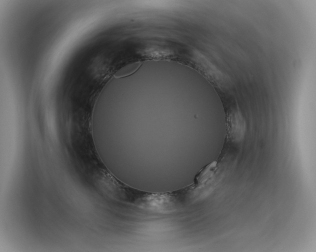X0000112200762200908071434