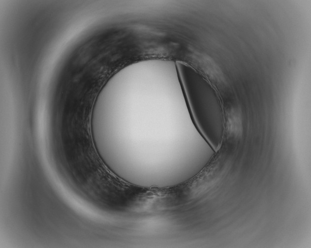 X0000112200764200908071434