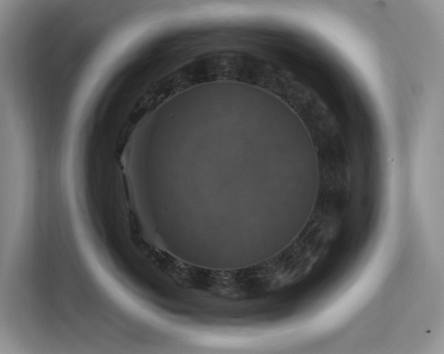 X0000112200766200908071434
