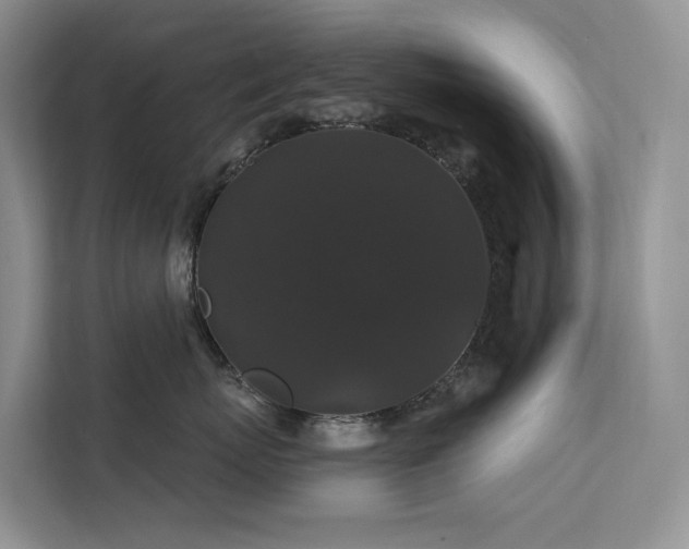 X0000112200767200908071434