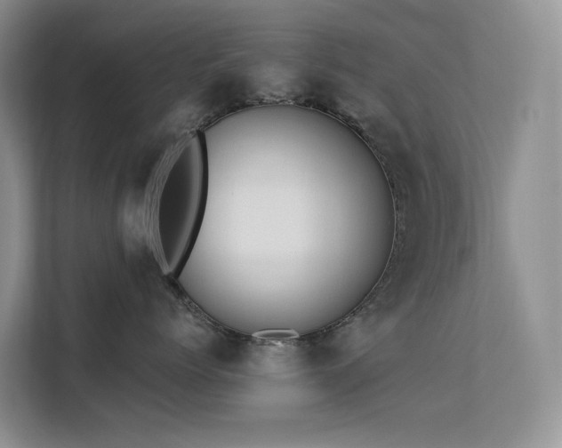 X0000112200768200908071434
