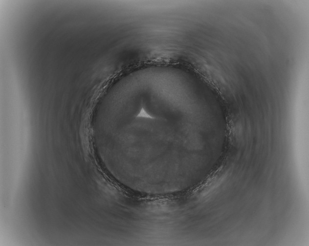 X0000112200769200908071433