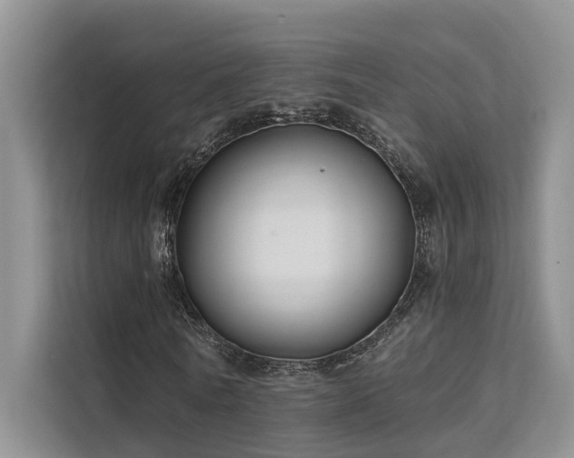 X0000112200770200908071433