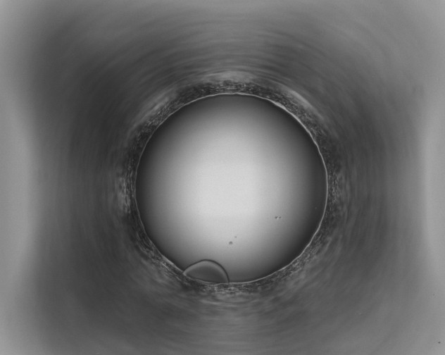X0000112200774200908071433