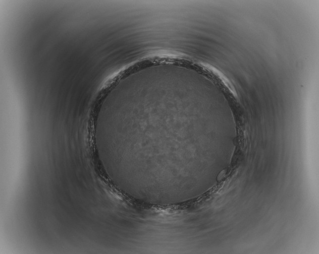 X0000112200775200908071433