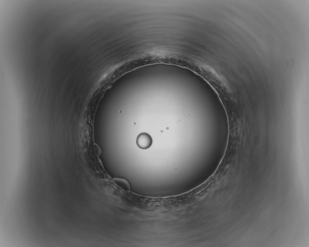 X0000112200776200908071433