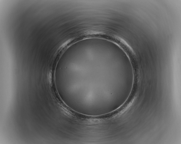 X0000112200777200908071433