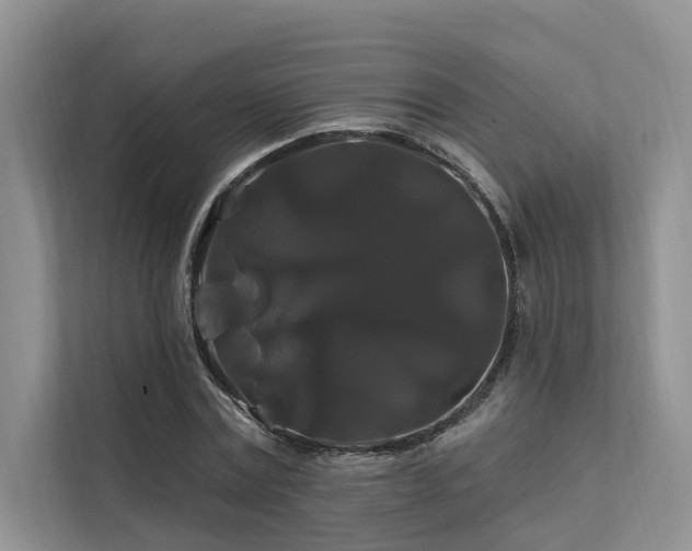 X0000112200779200908071433