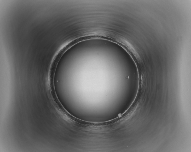 X0000112200780200908071433