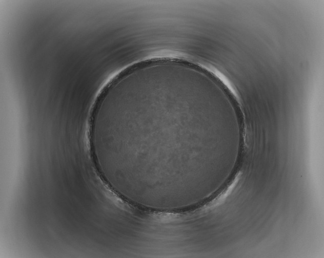 X0000112200783200908071433