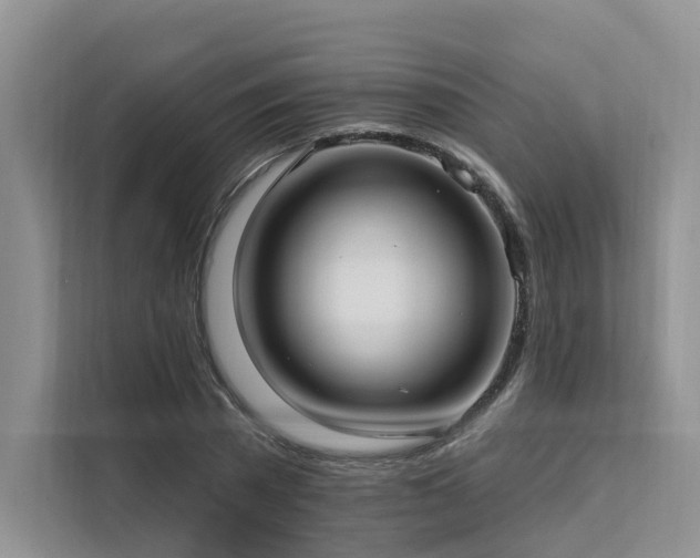 X0000112200785200908071433
