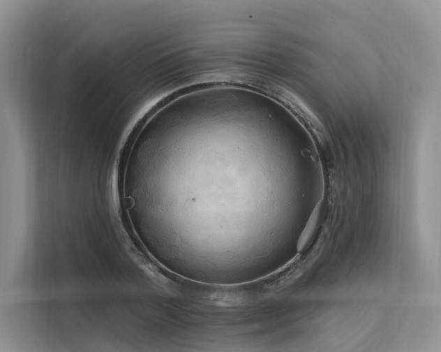 X0000112200788200908071433