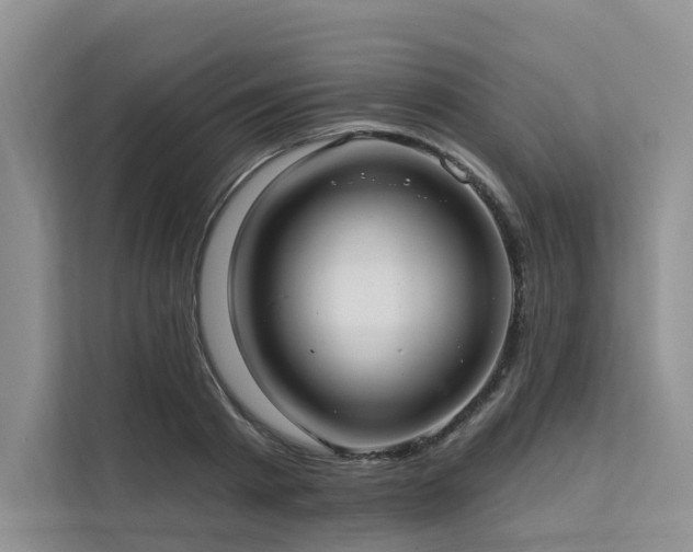X0000112200793200908071433