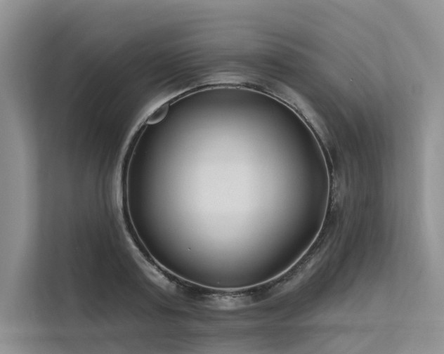 X0000112200795200908071433