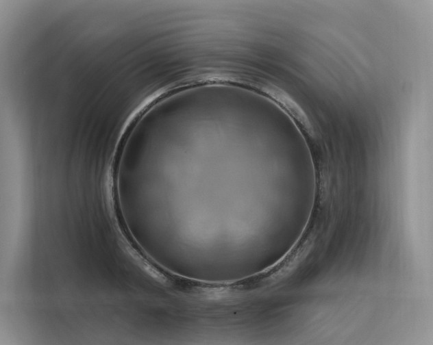 X0000112200798200908071433