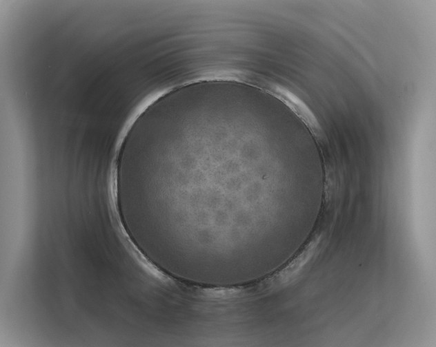 X0000112200804200908071433